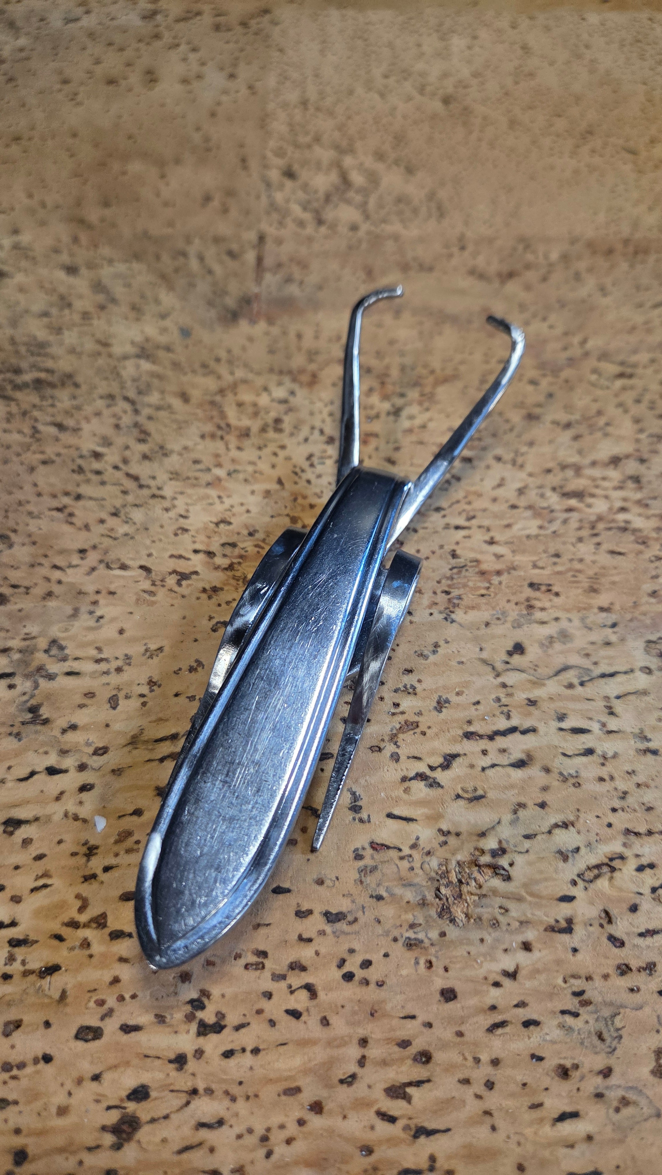 Kakkerlak van vintage vork